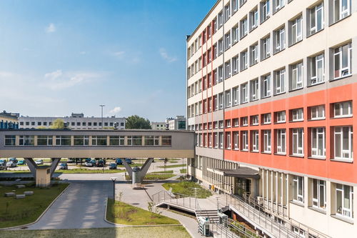 开云官网-中国篮球职业联赛俱乐部青训体系建设及实践探索,职业篮球青年队