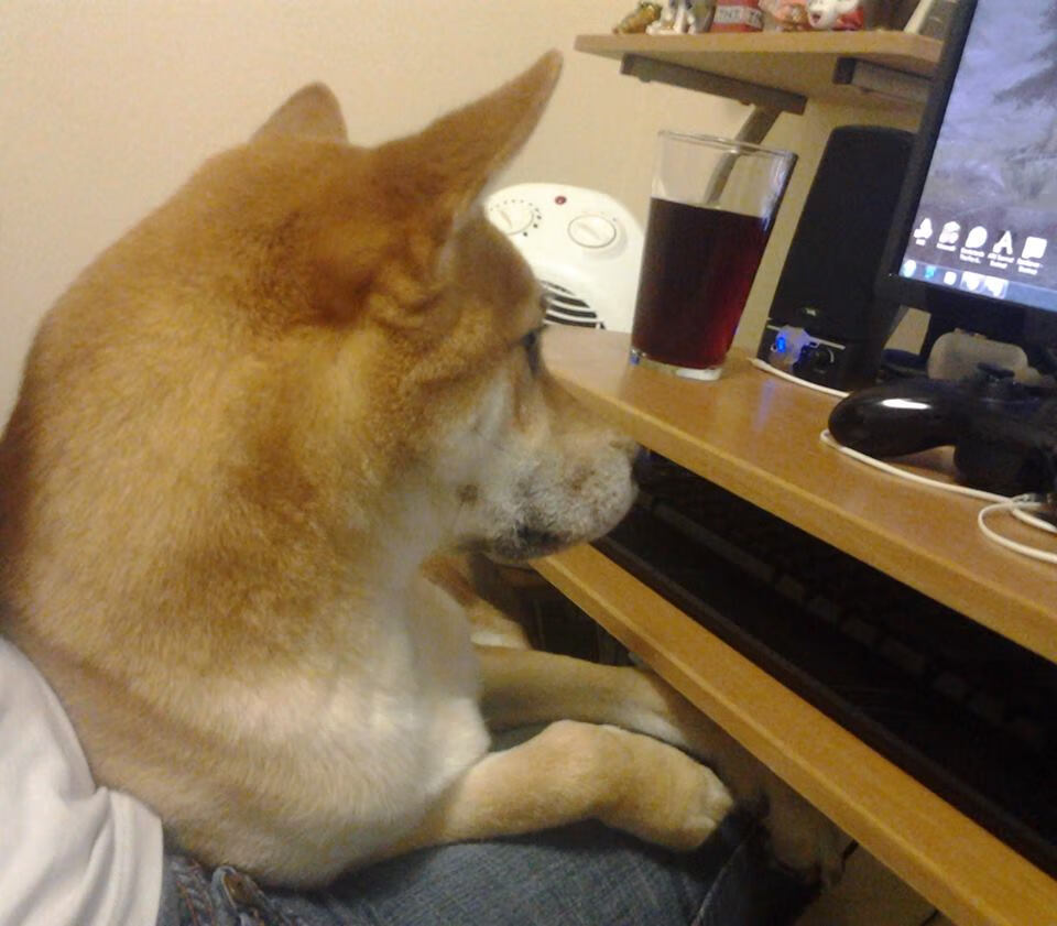 开云体育登入-体育医疗保障体系升级经验交流提升备战质量,体育医疗包括