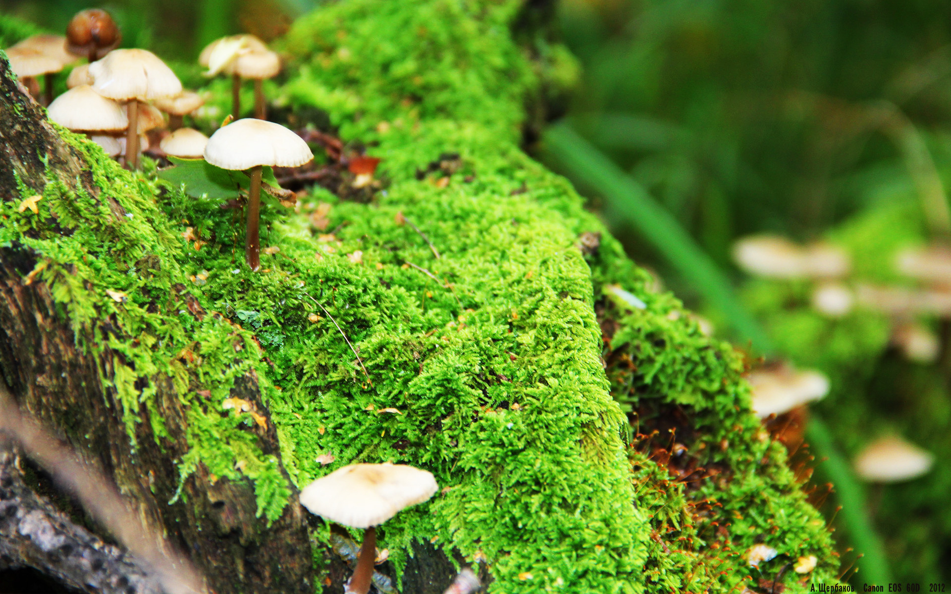 开云集团中国官网-城市马拉松成为区域联动品牌赛事，城市马拉松一般多长时间