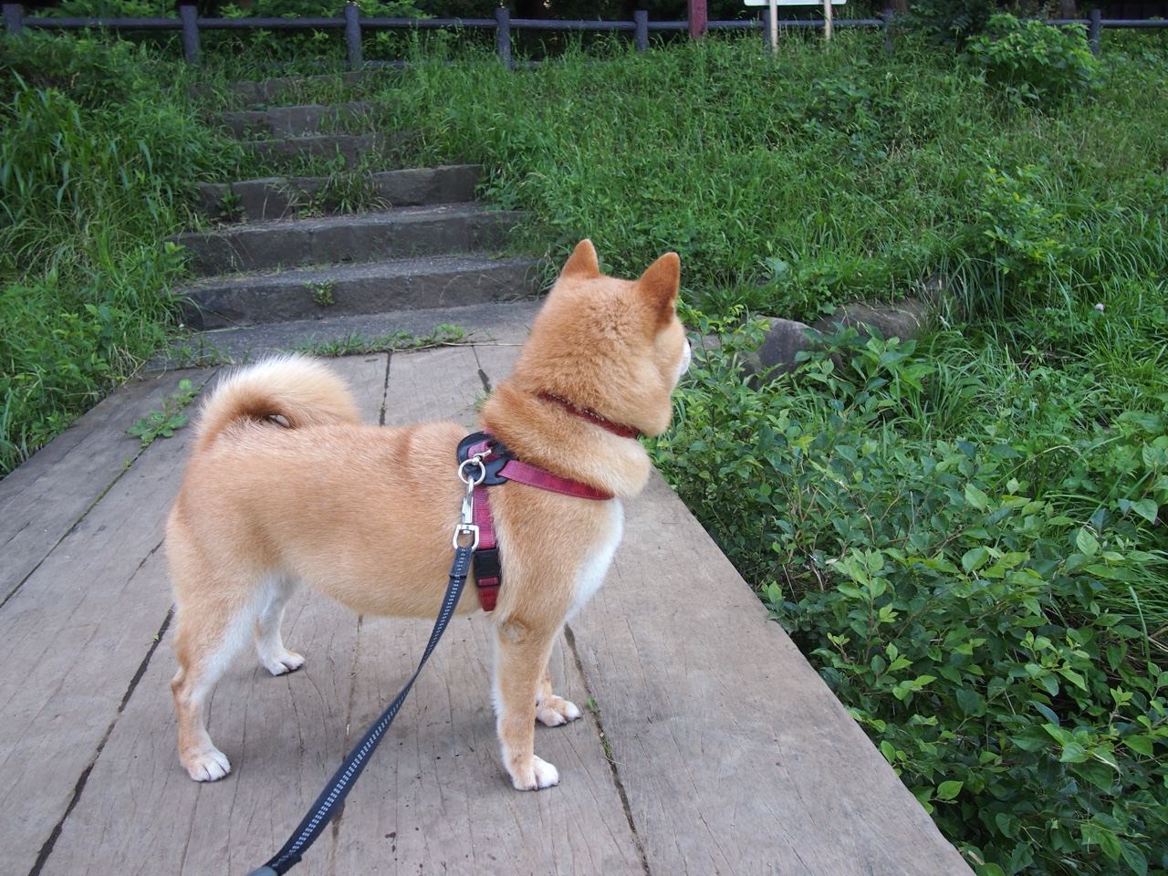 开云体育网页版-女子接力排名第七 表现受肯定，女子接力选手