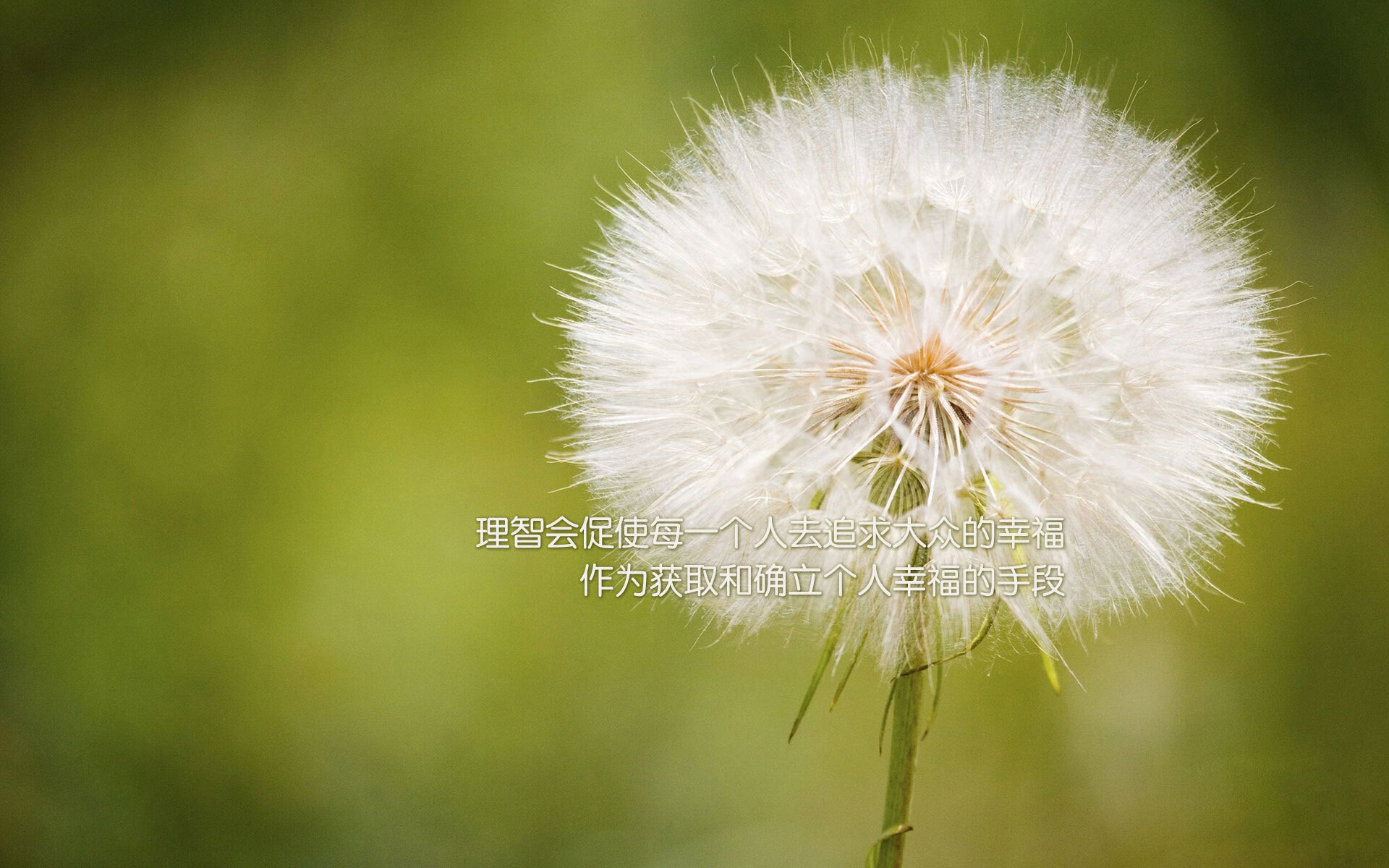 开云体育登入-中乙俱乐部组织公开试训提高选拔公平透明度,中乙俱乐部靠什么赚钱