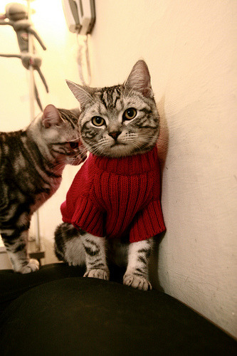 开云真人体育娱乐-中国男篮海外拉练赛程结束整体状态趋稳收获宝贵经验,中国男篮外教