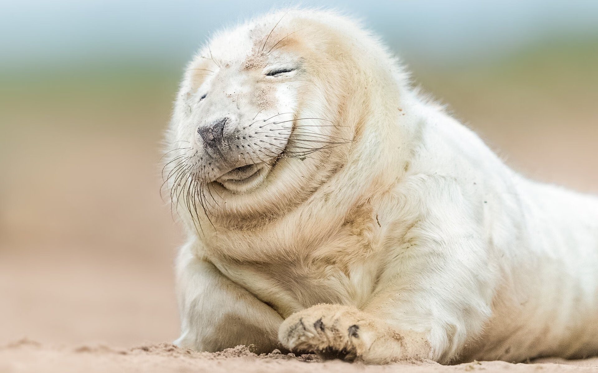 开云体育-各地足球科普教育走入校园，培养青少年体育意识，全国青少年校园足球教学指南(试行)