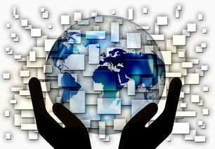 中超球队年度控场人数分布与效果评估，中超球队人数限制