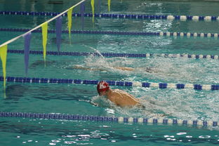 全国大学生花样游泳大赛优秀节目连连，2020年全国花样游泳比赛