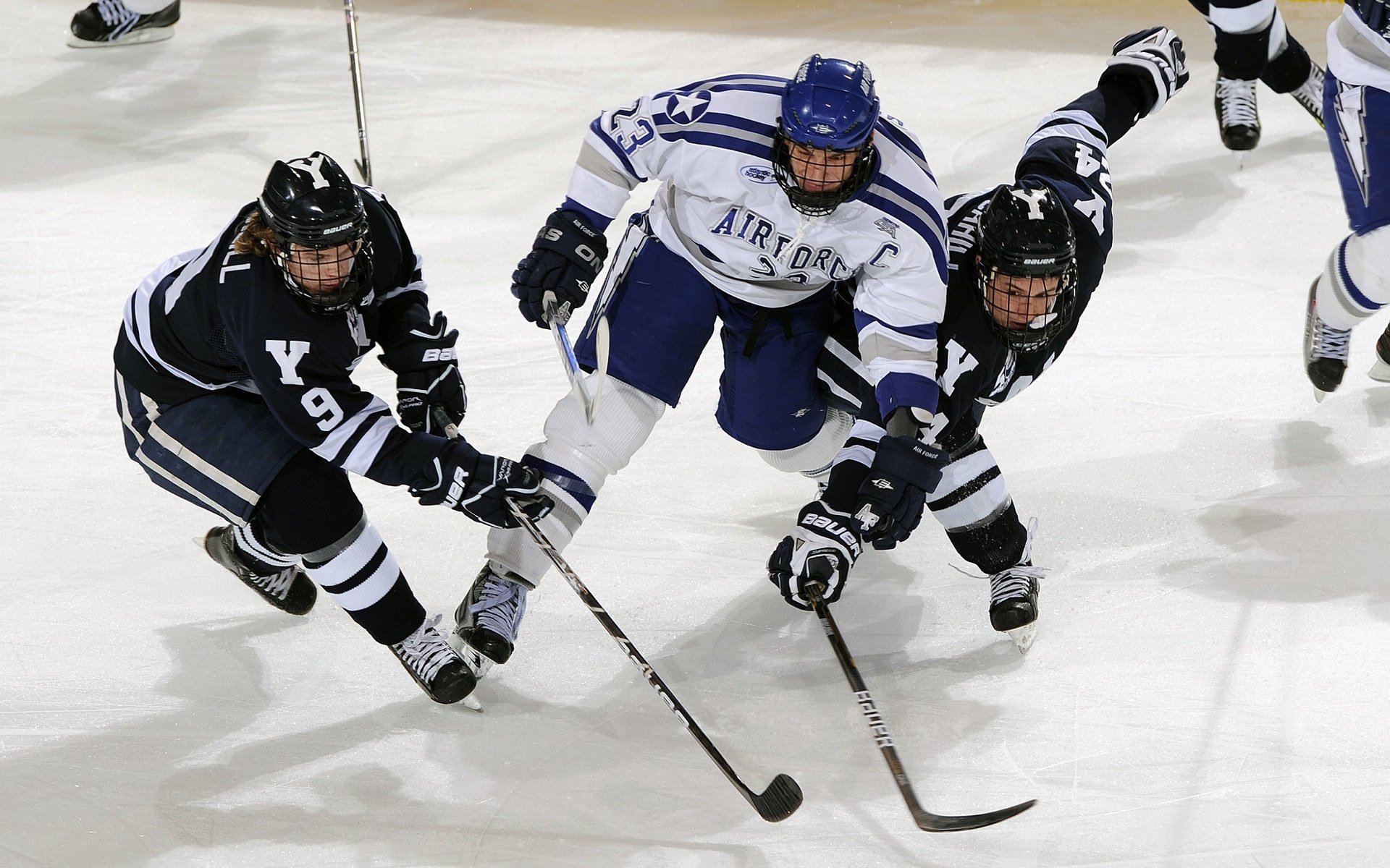 校园体育场馆智能管理系统设计与实现，学校体育场馆运营管理方案